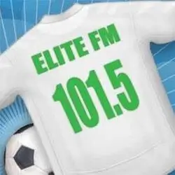 LRT809 Elite FM 101.5 logo