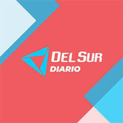 Radio Del Sur logo